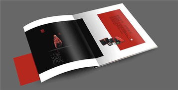 政府定点印刷服务与软件开发创新——以思博雅汇为例